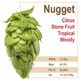 Nugget Hops